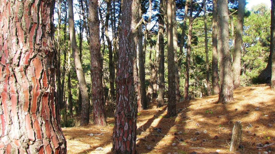 Photo of Others in Aguas Verdes