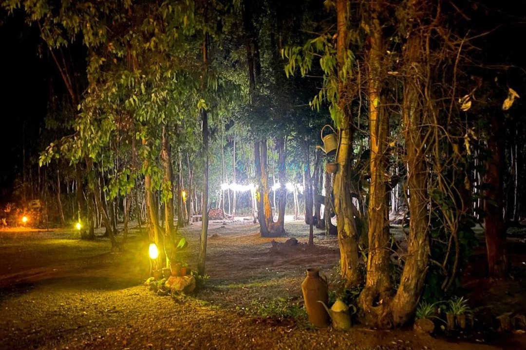 Photo of Others in Ramallo