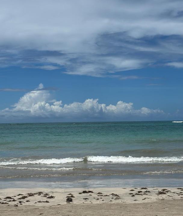 Photo of Others in Praia dos Carneiros