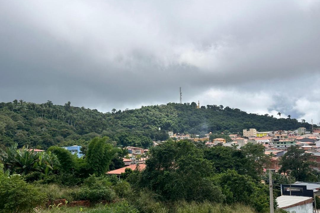 Photo of Others in Vicosa do Ceara