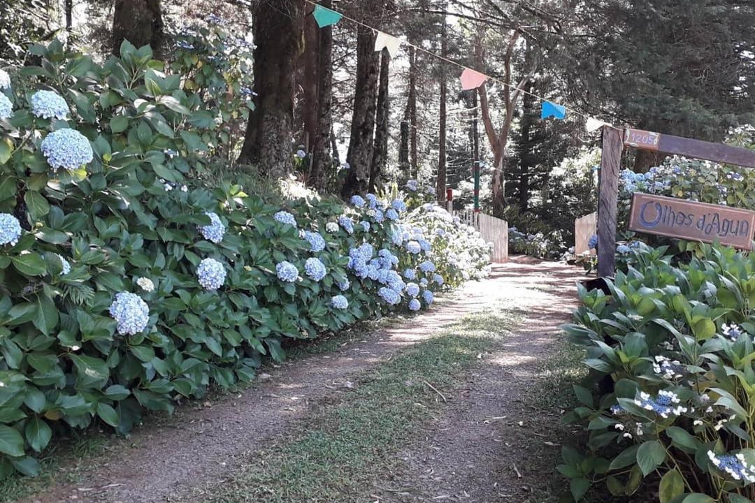 Photo of Outdoor in Sao Francisco de Paula