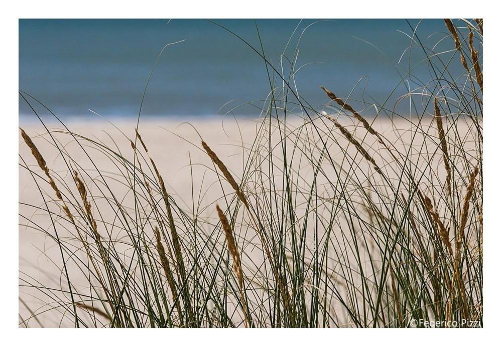 Photo of Others in Villa Gesell