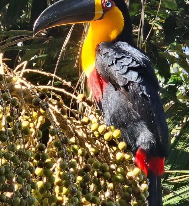 Photo of Others in Rio das Pacas