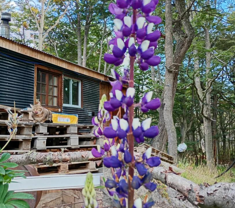Photo of Outdoor in Province of Tierra del Fuego