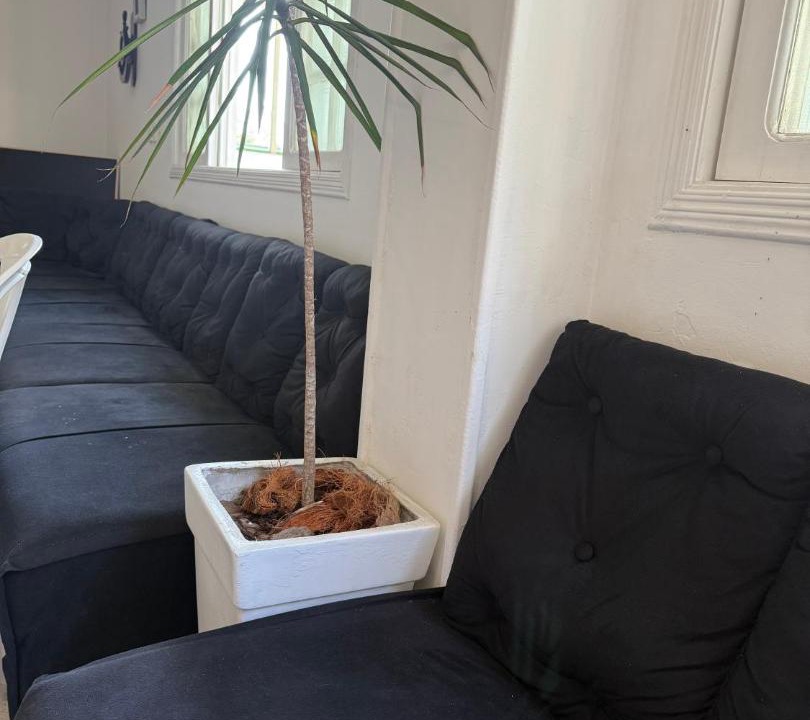 Photo of Livingroom in Balneario Arpoador