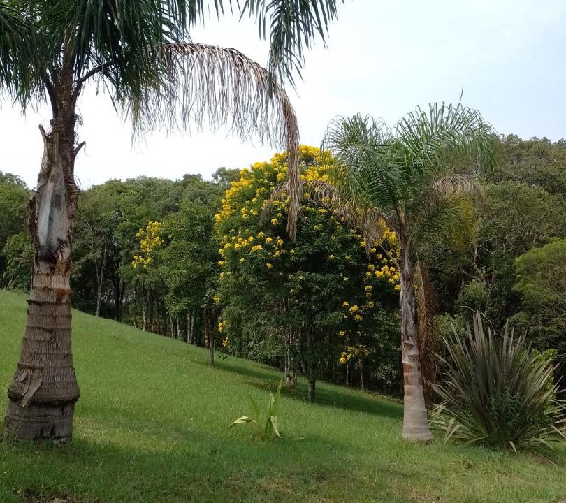 Photo of Others in Almirante Tamandare