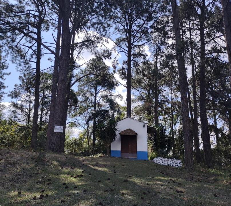 Photo of Others in Aracariguama