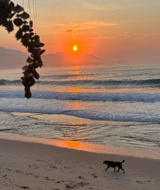 Photo of Others in Trindade