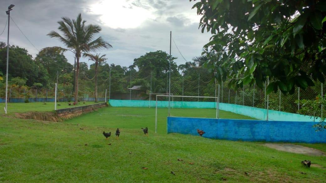 Photo of Others in Manaus
