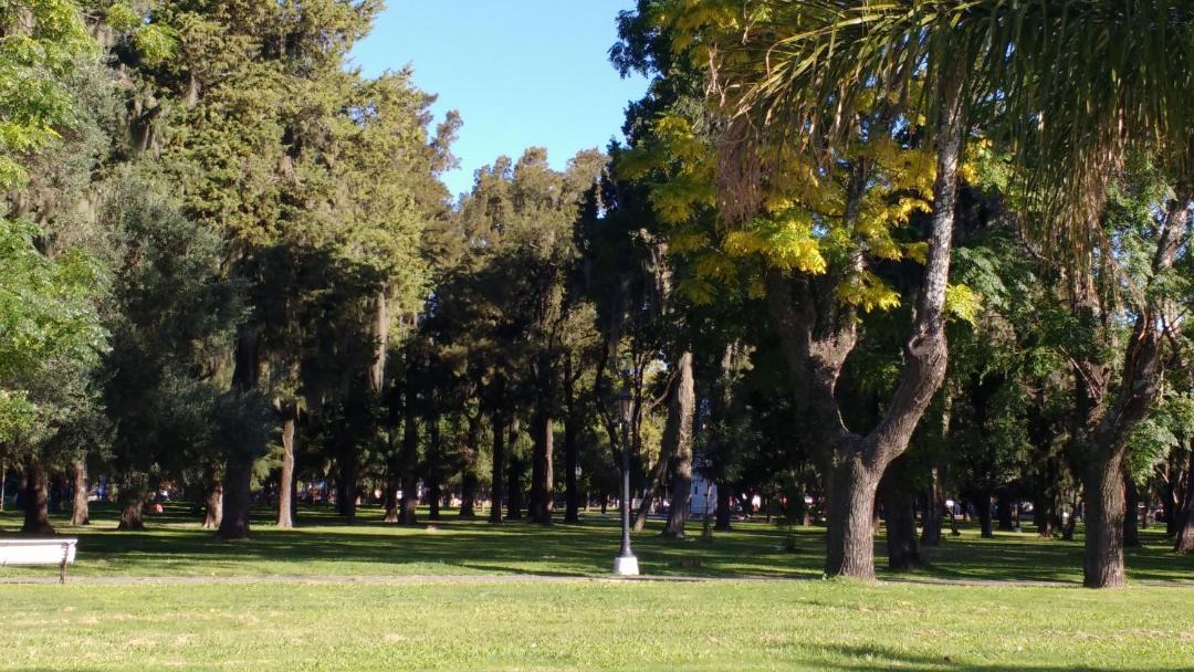 Photo of Others in Ramallo