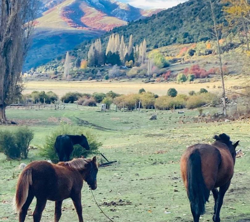Photo of Others in San Martin de los Andes