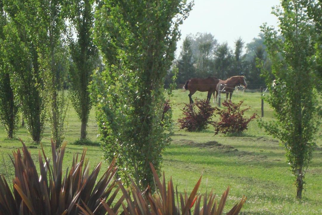 Photo of Others in Chascomus