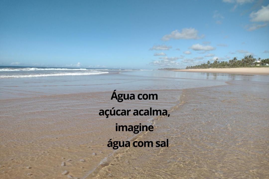 Photo of Others in Barra do Jacuipe