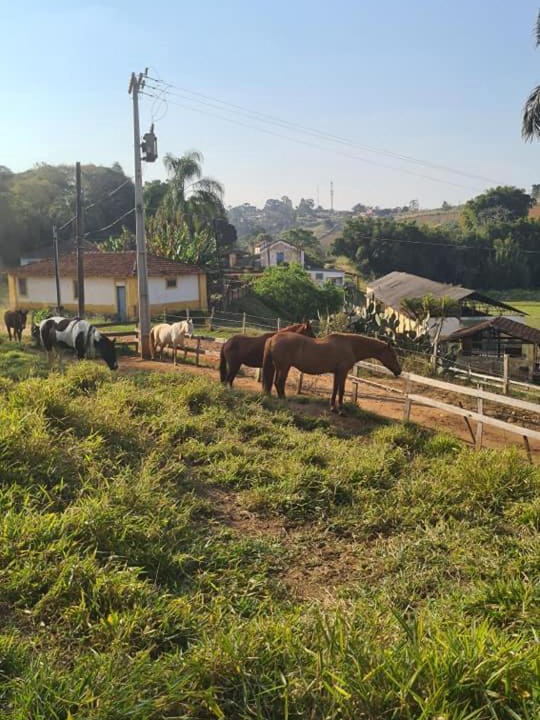 Photo of Others in Braganca Paulista
