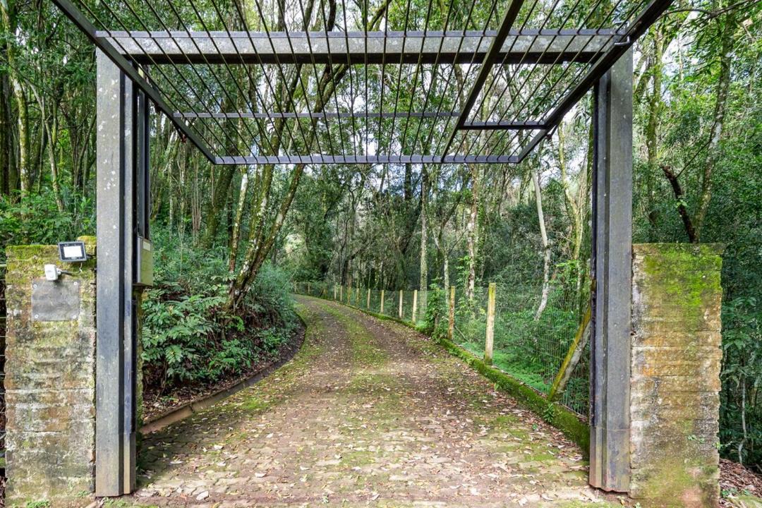 Photo of Outdoor in Lindolfo Collor