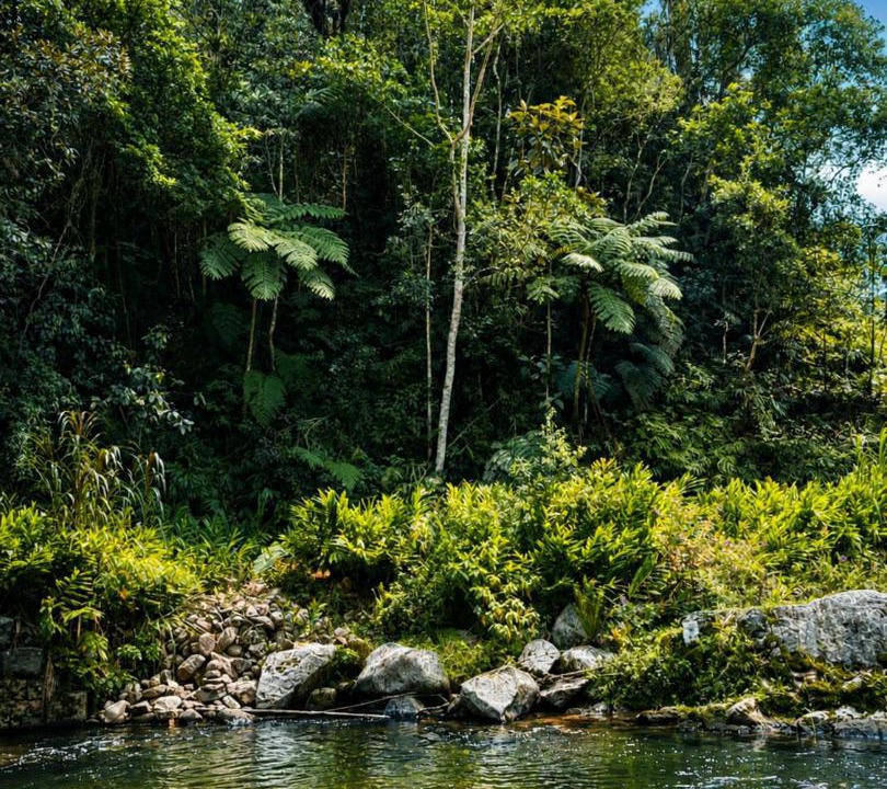 Photo of Others in Aguas Mornas
