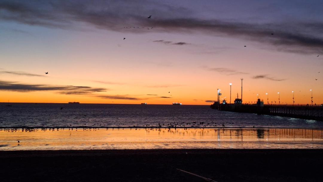 Photo of Others in Puerto Madryn