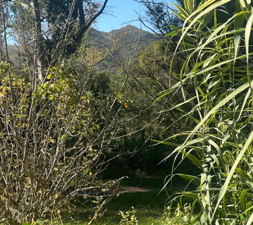 Photo of Others in Los Reartes