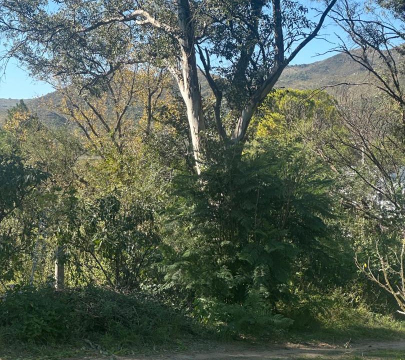 Photo of Others in Los Reartes
