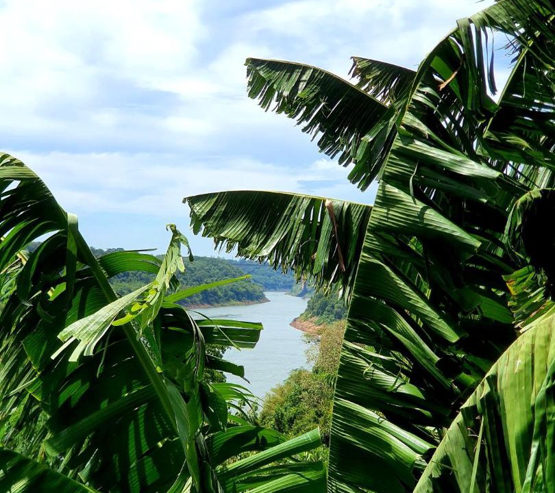 Photo of Others in Puerto Leoni