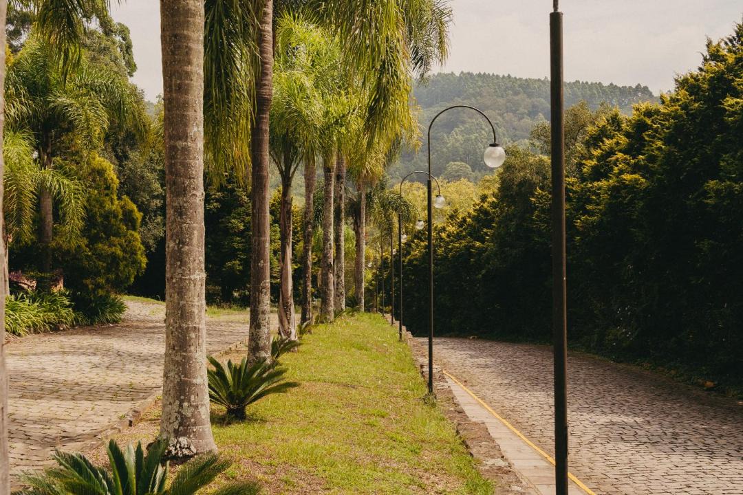 Photo of Others in Farroupilha