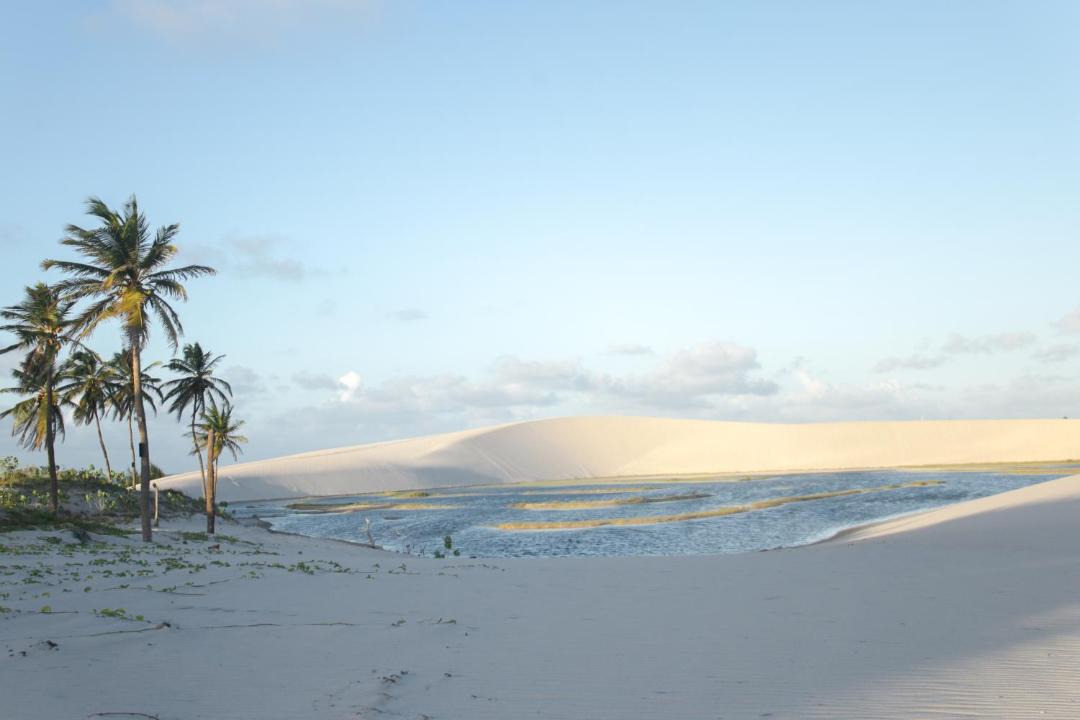 Photo of Others in Caicara