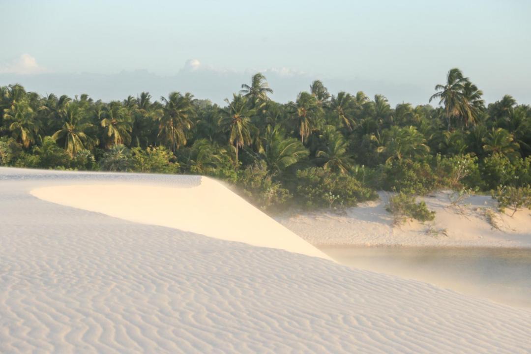 Photo of Others in Caicara
