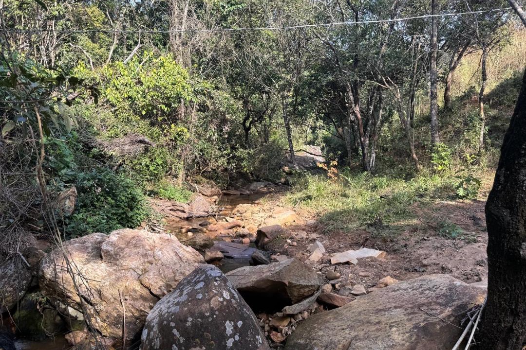 Photo of Others in Brumadinho