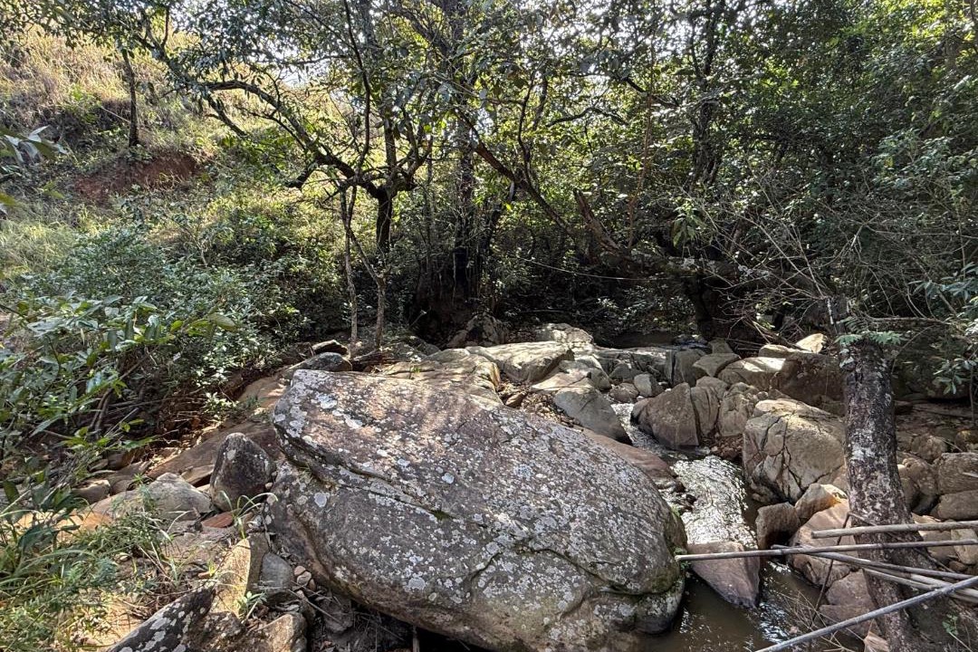 Photo of Others in Brumadinho