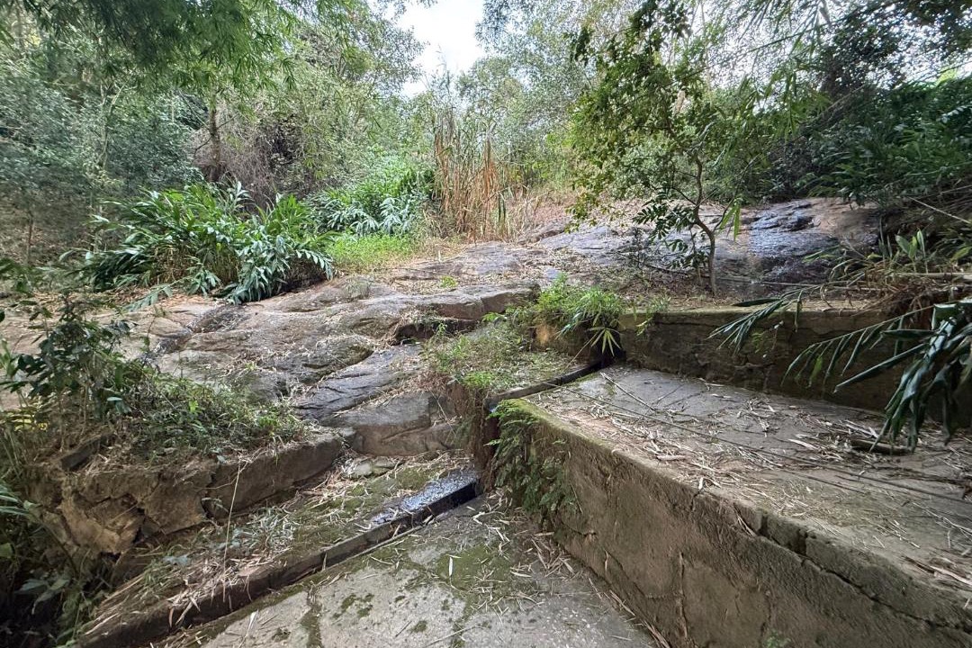 Photo of Others in Brumadinho
