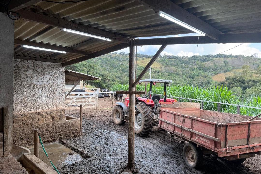 Photo of Others in Brumadinho