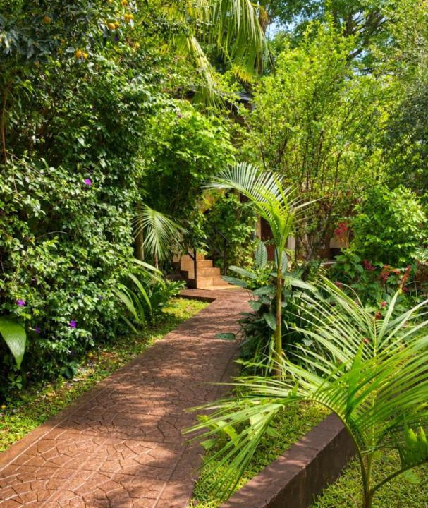Photo of Others in Puerto Iguazu
