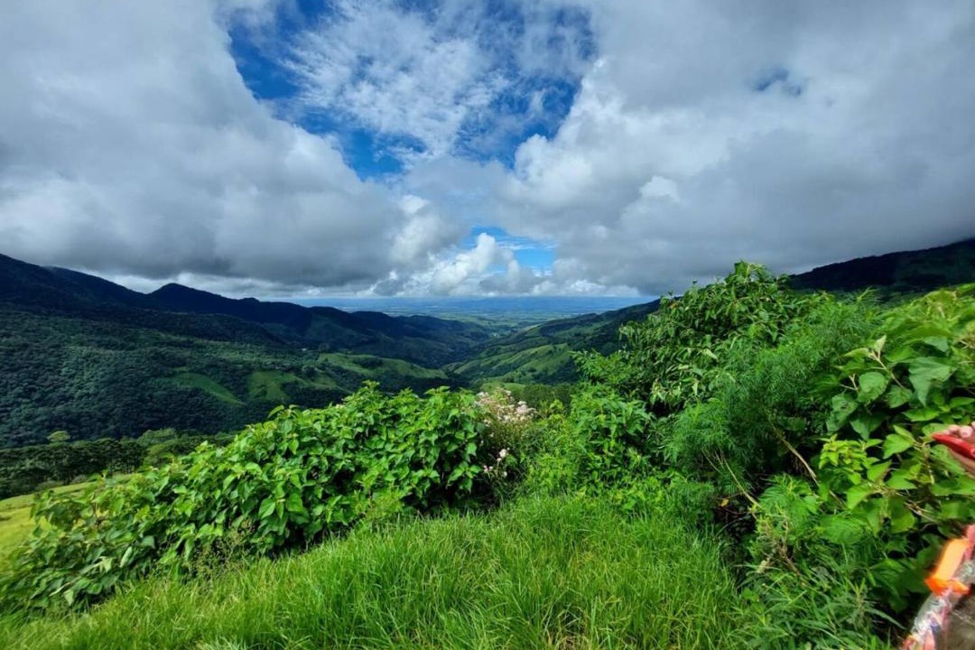 Photo of Others in Guaratingueta