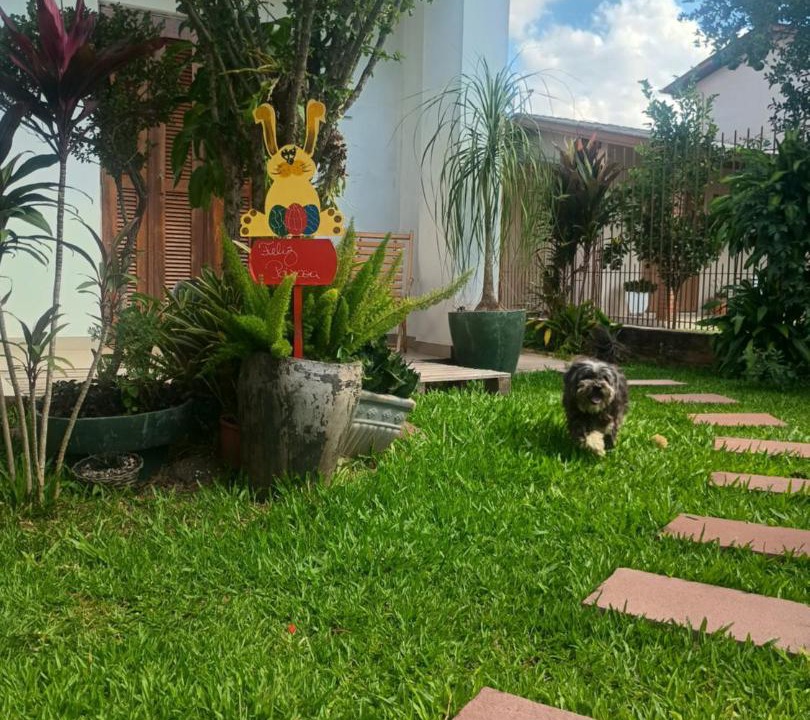 Photo of Others in Estancia Velha