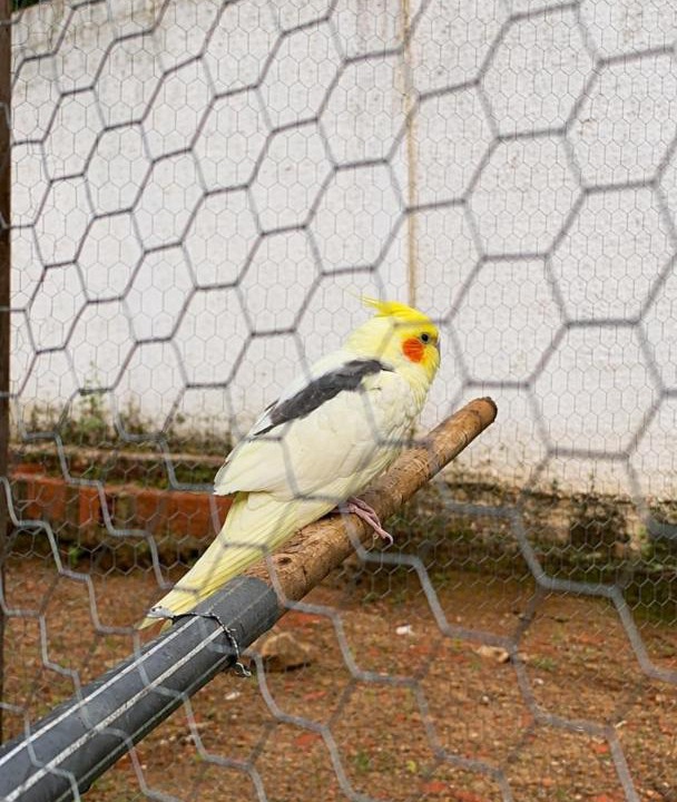 Photo of Others in Vicosa do Ceara
