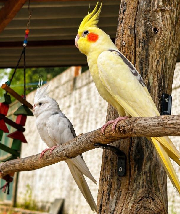 Photo of Others in Vicosa do Ceara