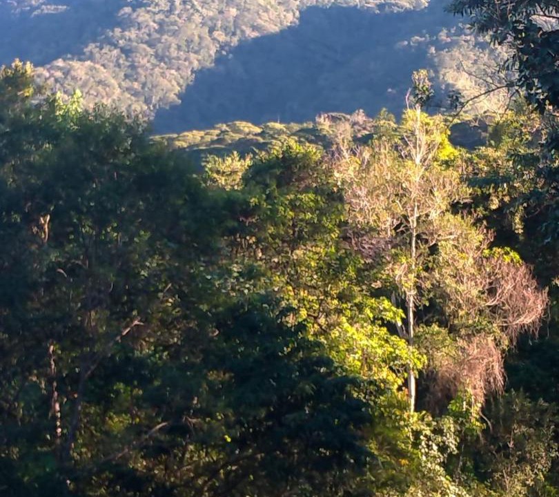 Photo of Others in Iporanga