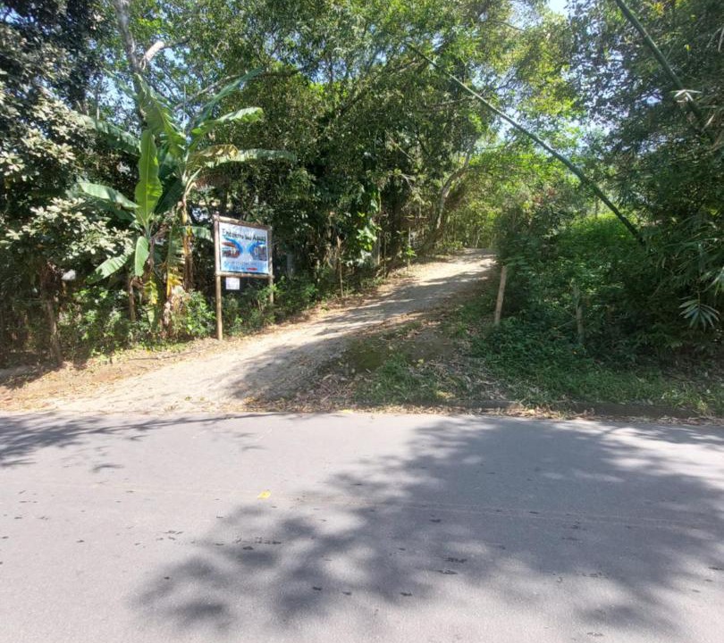 Photo of Outdoor in Trindade