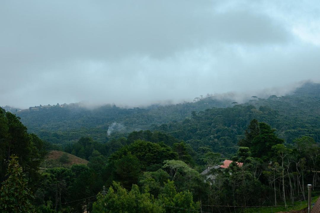 Photo of Others in Jardim Andira