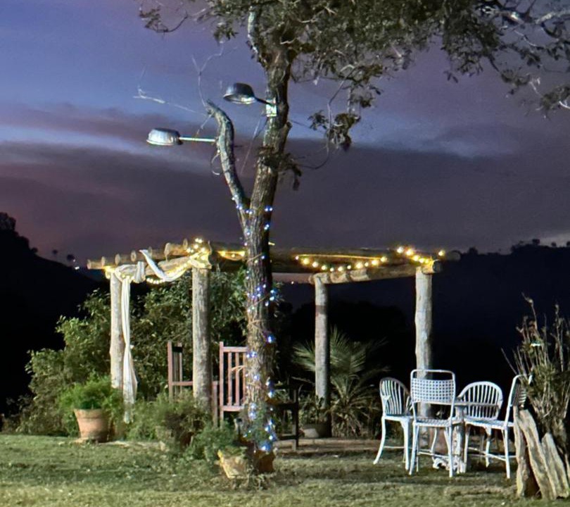 Photo of Others in Monte Alegre do Sul