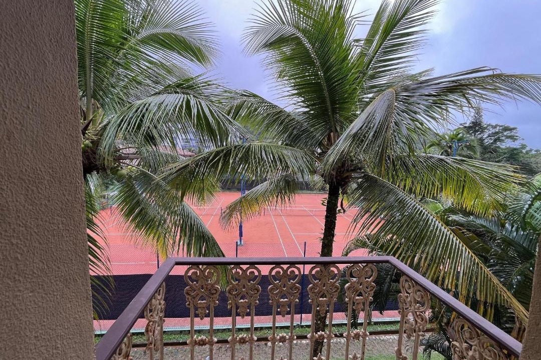 Photo of Others in Toninhas