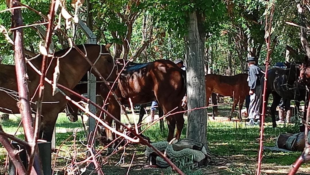 Photo of Others in Rincon del Atuel