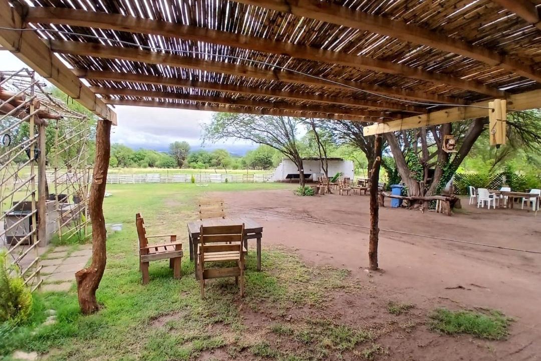 Photo of Others in Tinogasta