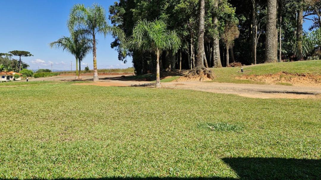 Photo of Others in Palmeira