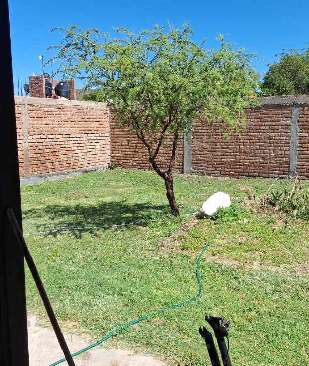 Photo of Others in La Punta