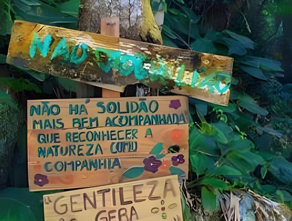 Photo of Others in Guarda do Embau