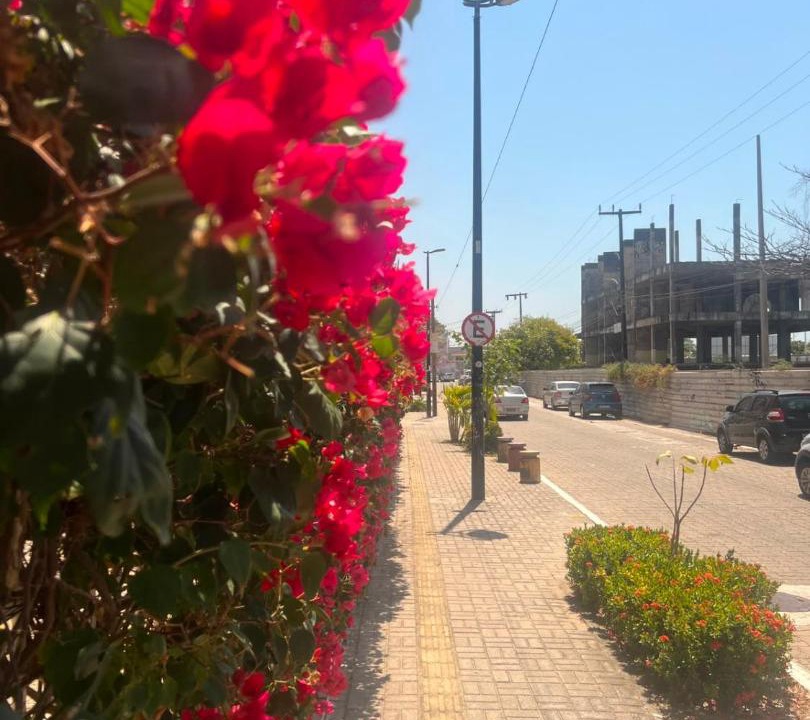 Photo of Outdoor in Praia de Iracema