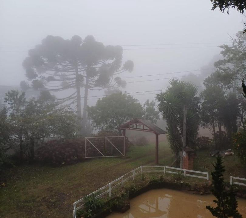 Photo of Others in Riozinho