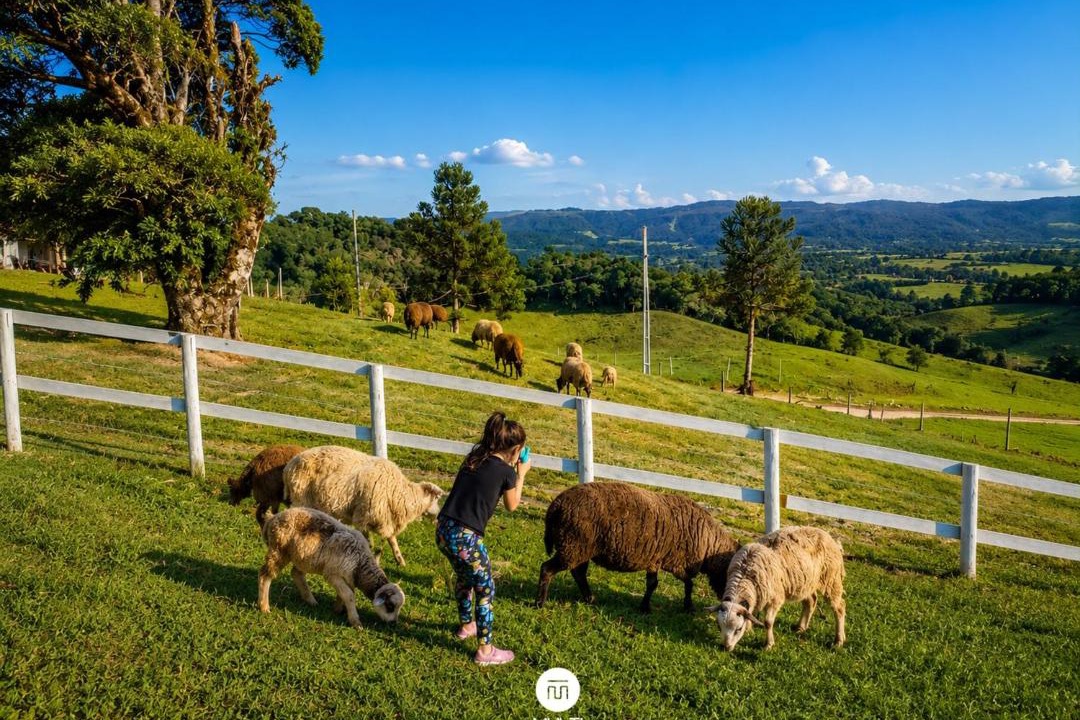 Photo of Others in Rancho Queimado