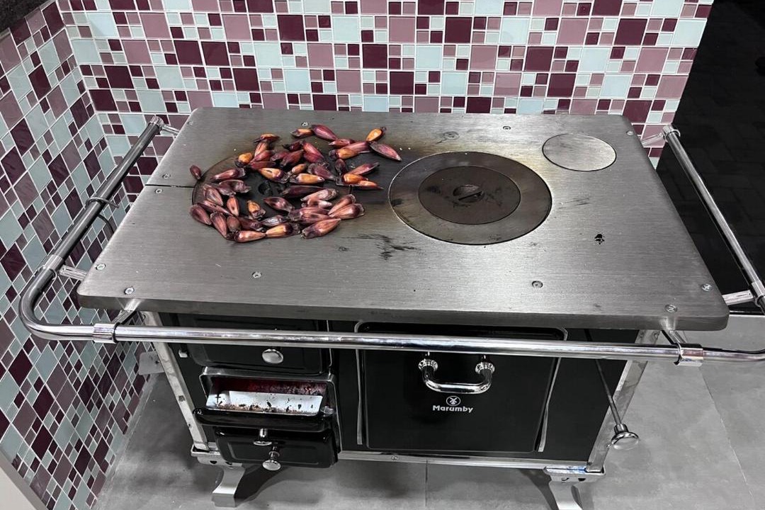 Photo of Kitchen in Itaperucu